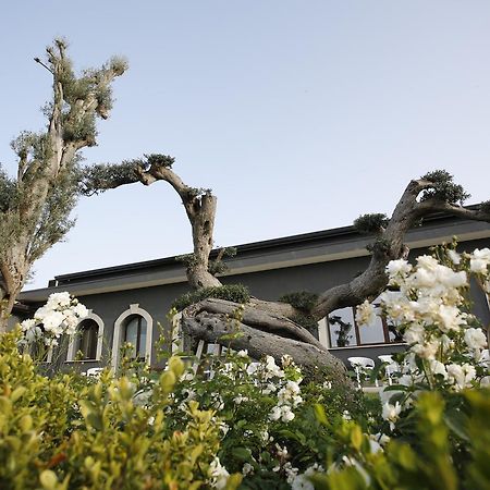 Terra Di Venera Villa Санта Венерина Екстериор снимка